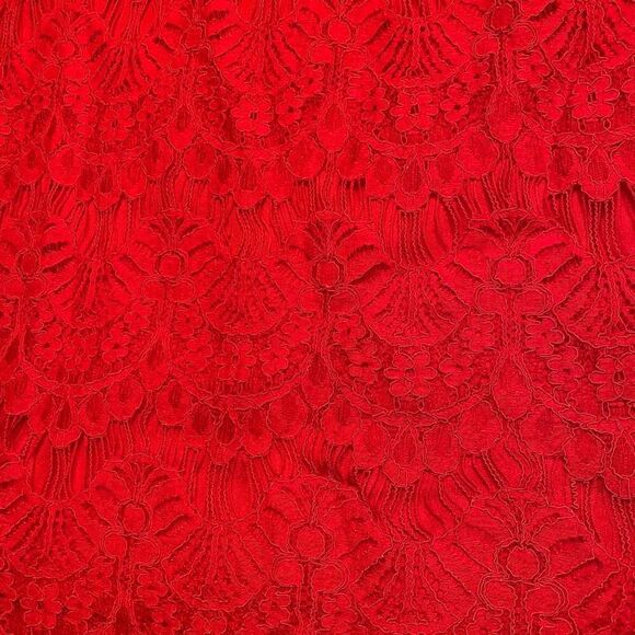 Red Lace Overlay Bodycon Dress (Size L) - Picture 7 of 7